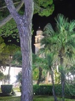 DSCN7615 (1)